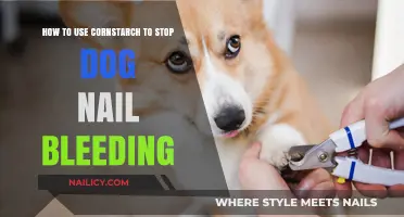 Quick Fix for Bleeding Dog Nails: The Cornstarch Method