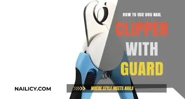 Safely Trimming Your Dog's Nails: A Guide to Using Clippers with Guards