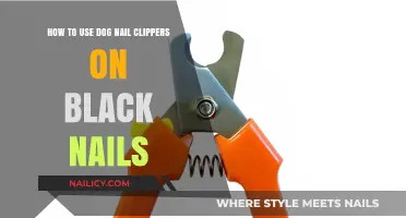Safely Trimming Your Pup's Black Nails: A Step-by-Step Guide