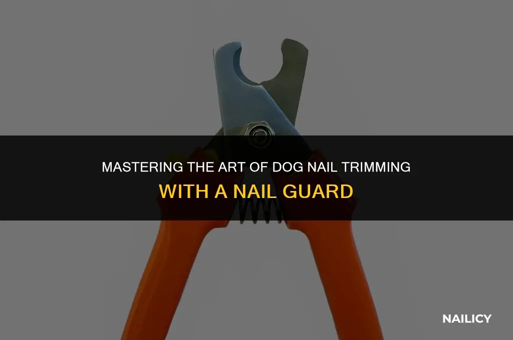 how to use dog nail clippers with a nsil gruad