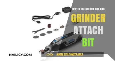 Mastering the Dremel: A Guide to Safely Grind Your Dog's Nails