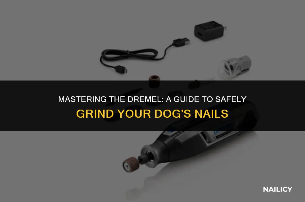 how to use dremel dog nail grinder attach bit