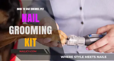 Mastering Pet Nail Care: A Guide to Using the Dremel Grooming Kit