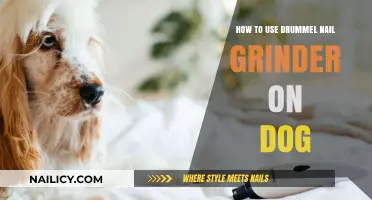 Mastering the Drumel Nail Grinder for Your Dog's Comfort and Safety