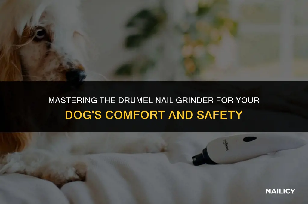 how to use drummel nail grinder on dog