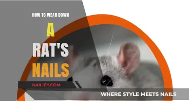 Effective Tips for Safely Trimming Your Pet Rat's Nails