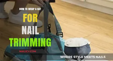 Trimming Cat Nails: The Art of Wrapping