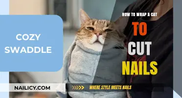 The Art of Wrapping Cats for Nail Trims