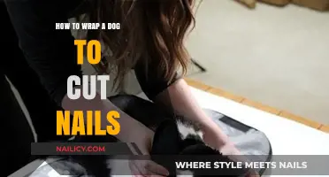 Calmly Wrap Your Dog for Nail Trims