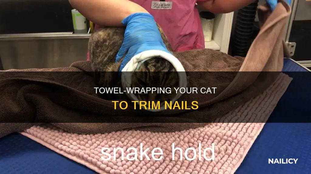 how to wrap cat in towel to cut nails