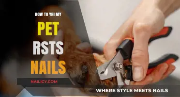 Mastering Pet Nail Trims: A Step-by-Step Guide for Stress-Free Grooming