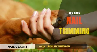 Trimming Your Dog's Nails: A Step-by-Step Guide