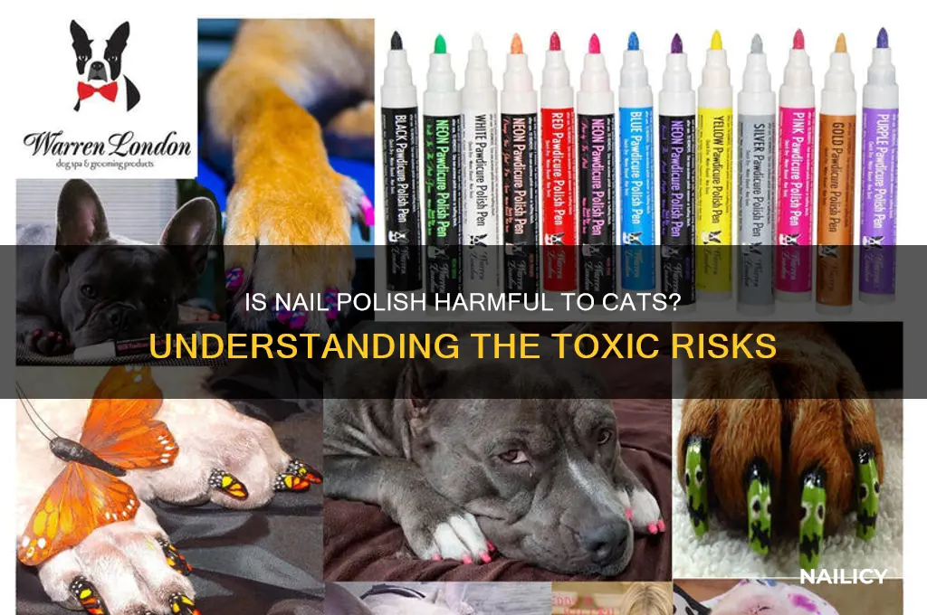 how toxic is nail polish to cats