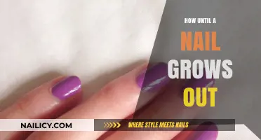 The Nail Growth Journey: From Cut to Complete