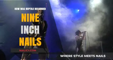 Recording Reptile: Nine Inch Nails' Studio Techniques and Creative Process