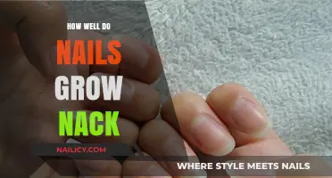 Nail Growth: How Quickly Do Nails Recover?