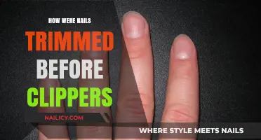 The Evolution of Nail Trimming Before Clippers