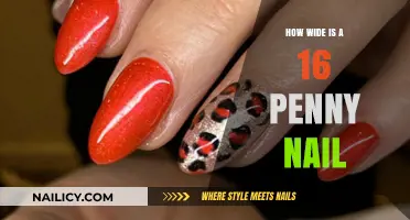 Understanding the Width of 16 Penny Nails: A Comprehensive Guide