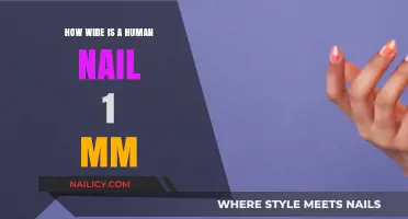 Human Nail Width: Unveiling the Surprising 1mm Measurement