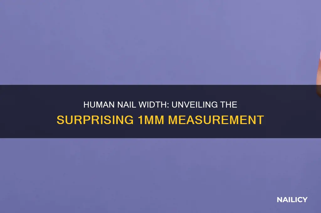 how wide is a human nail 1 mm