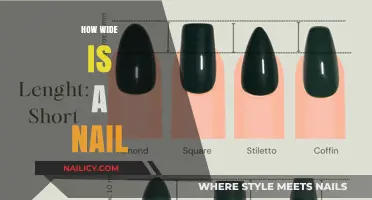 Exploring the Width of Nails: A Comprehensive Guide
