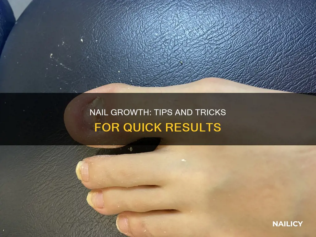 how will nail grow back