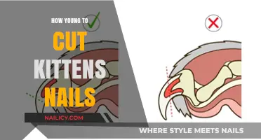 Trimming Kittens' Nails: When to Start?