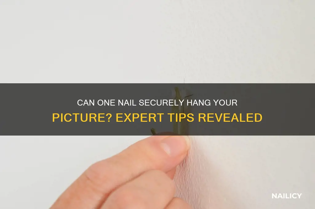 is 1 nail enough to hang a picture