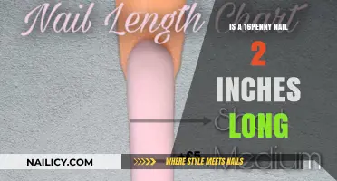 How Long is a 16d Nail?