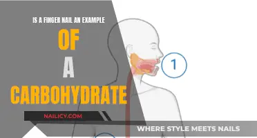 Carbohydrates and Fingernails: What's the Connection?