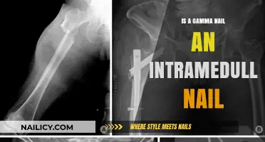 Gamma Nail vs. Intramedullary Nail: Understanding the Key Differences