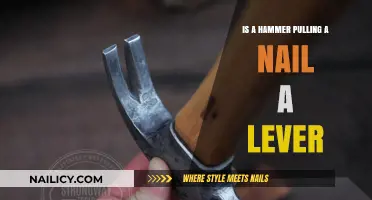 Is a Hammer Pulling a Nail a Lever? Exploring the Mechanics