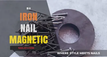 Exploring Magnetism: The Surprising Truth About Iron Nails