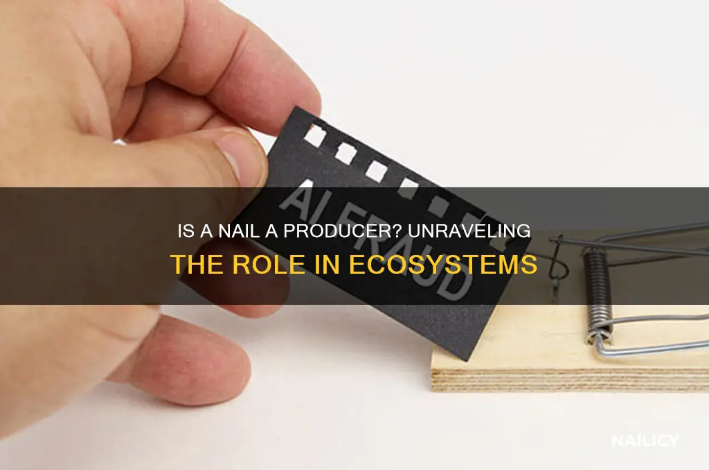 is a nail a producer
