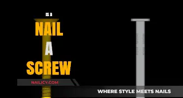 Nail vs. Screw: Understanding the Key Differences for Your Next DIY Project
