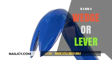 Nail Mechanics: Wedge, Lever, or Both? Exploring Its Dual Role