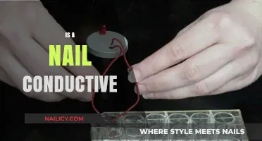 Exploring Conductivity: Can Nails Carry an Electric Current?