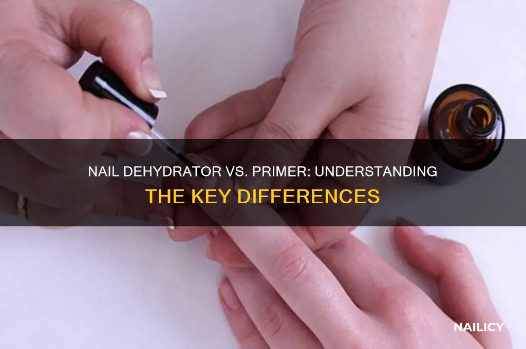 is a nail dehydrator the same as primer