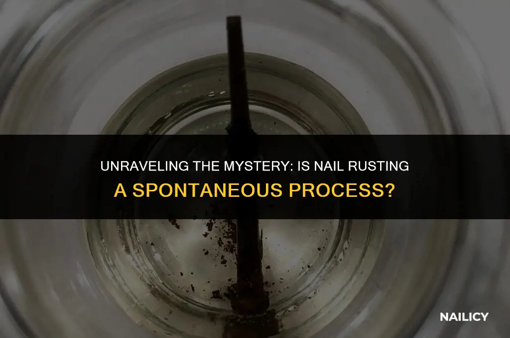is a nail rusting spontaneous