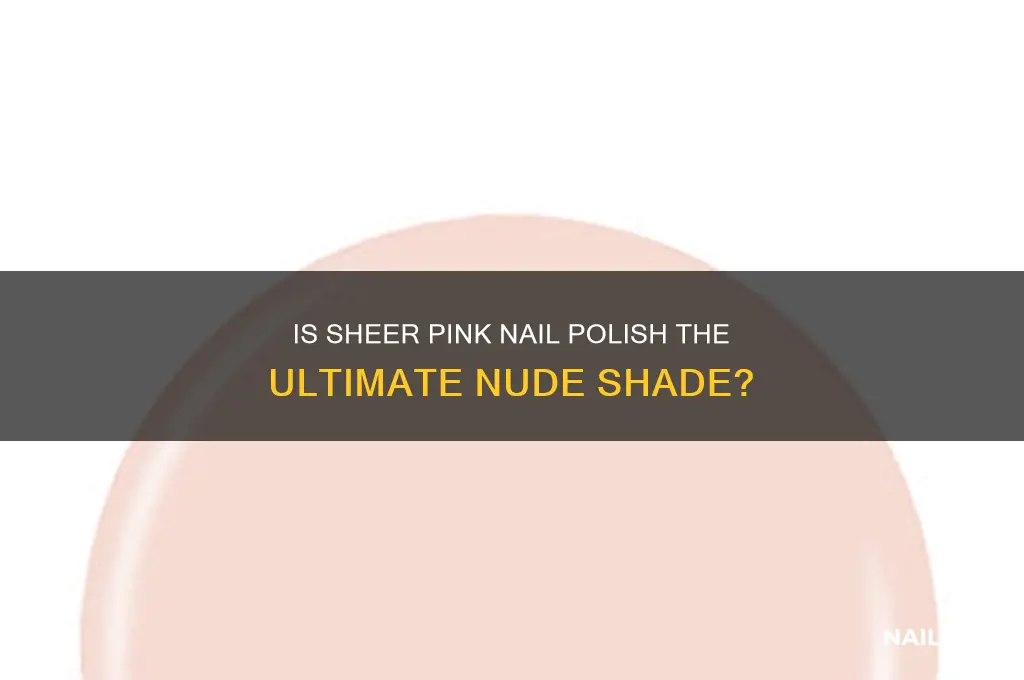 Is Sheer Pink Nail Polish The Ultimate Nude Shade Nailicy is-sheer-pink-nail-polish-the-ultimate-nude-shade-nailicy