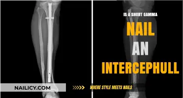 Short Gamma Nail vs. Intramedullary: Understanding Orthopedic Implant Differences