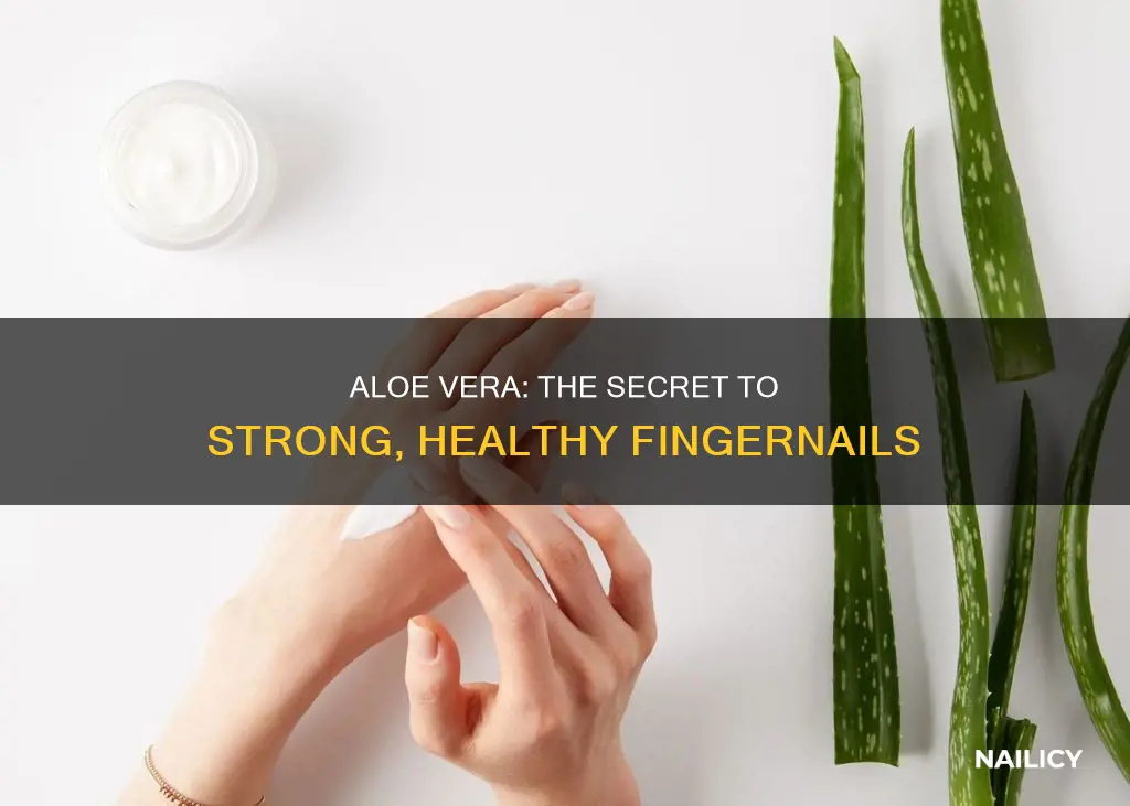is aloe good for your finger nails