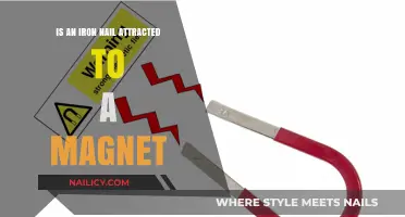 Is an Iron Nail Magnetic? Exploring Magnetism and Metal Attraction