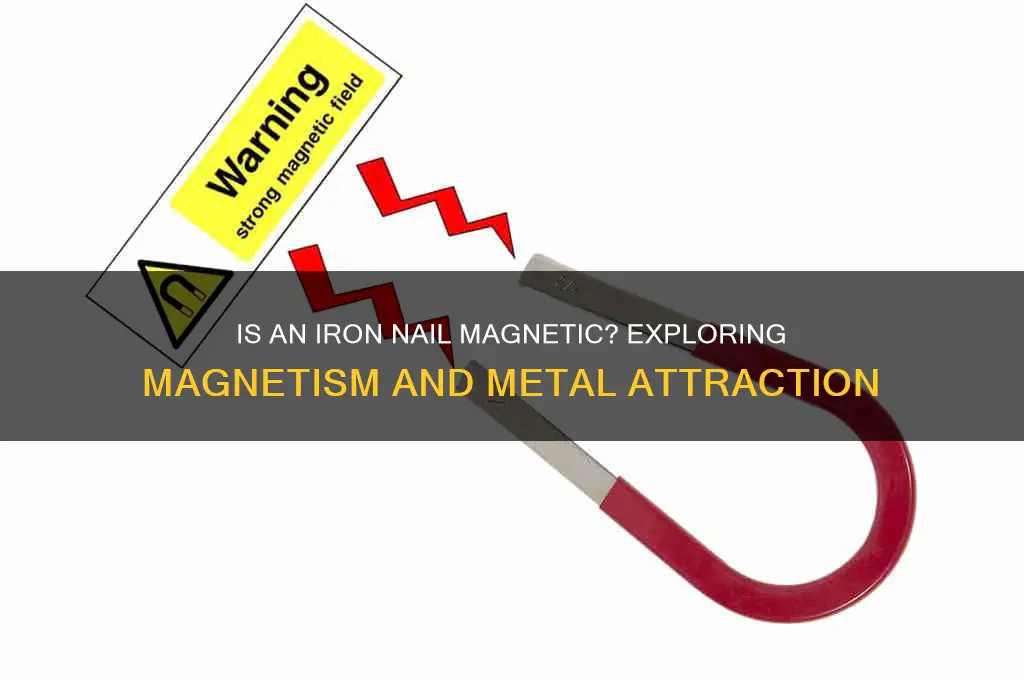 is an iron nail attracted to a magnet