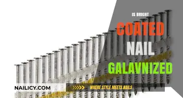 Unveiling the Truth: Are Bright Coated Nails Really Galvanized?