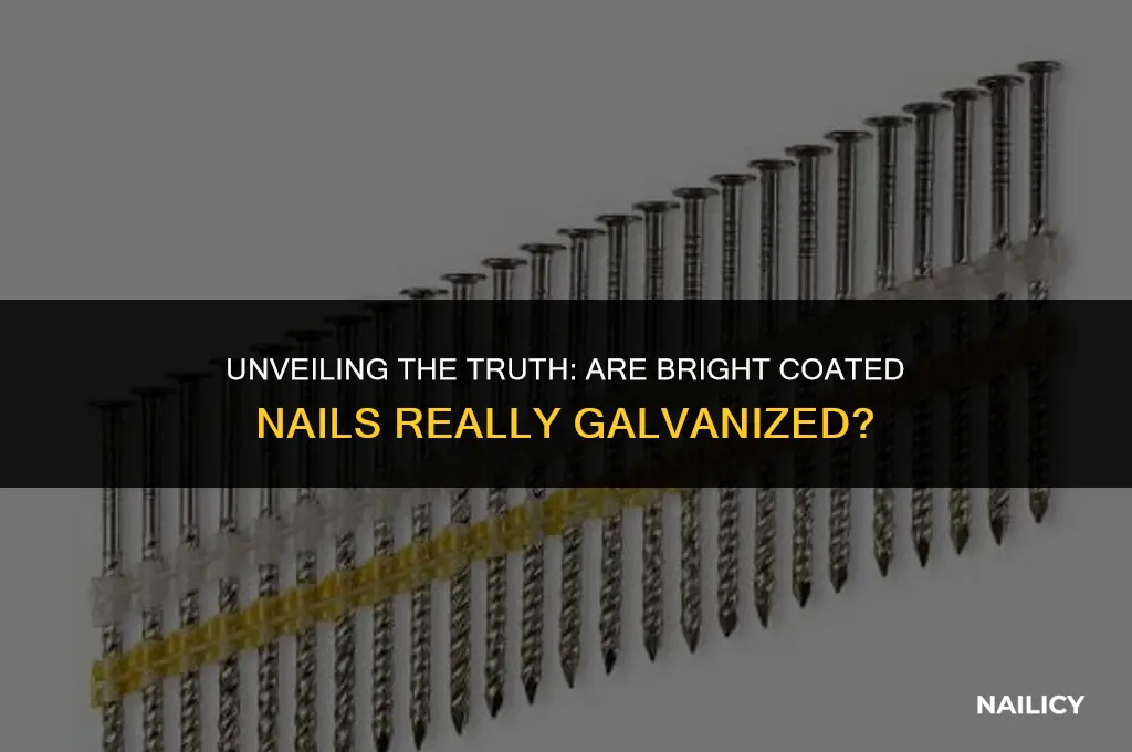is bright coated nail galavnized