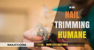 Trimming Cat Nails: Humane or Harmful?