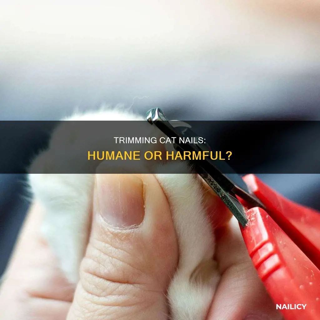 is cat nail trimming humane