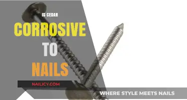 Exploring Cedar's Impact on Nails: Corrosion Concerns Uncovered