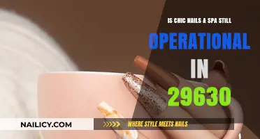 Chic Nails & Spa in 29630: Current Status and Operations